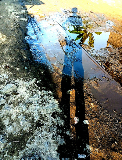 images/EDITIONS-GALERIE/essentiel.jpg